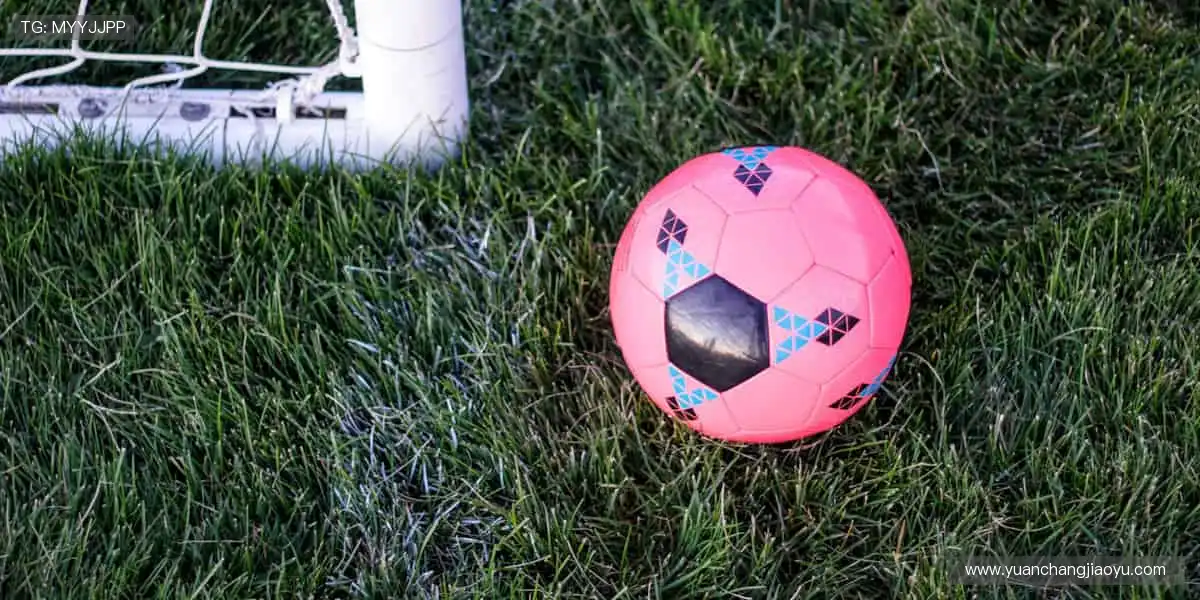 🏀 指尖掌控全球赛事，